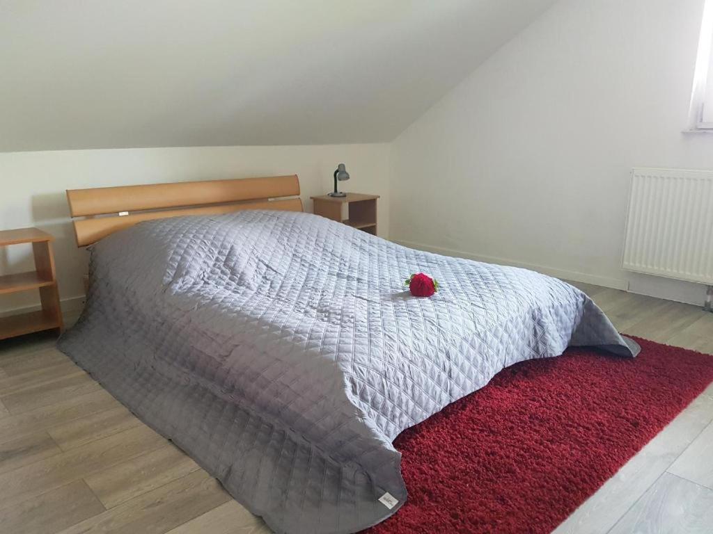 Penthouse N74 Linz 120 Qm Kids Welcome! Exteriér fotografie