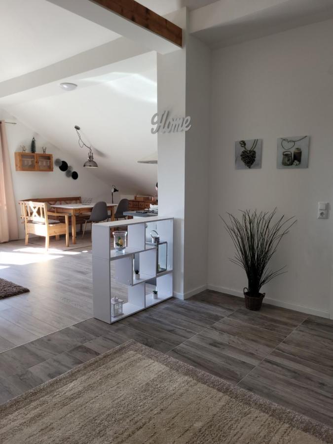 Penthouse N74 Linz 120 Qm Kids Welcome! Exteriér fotografie
