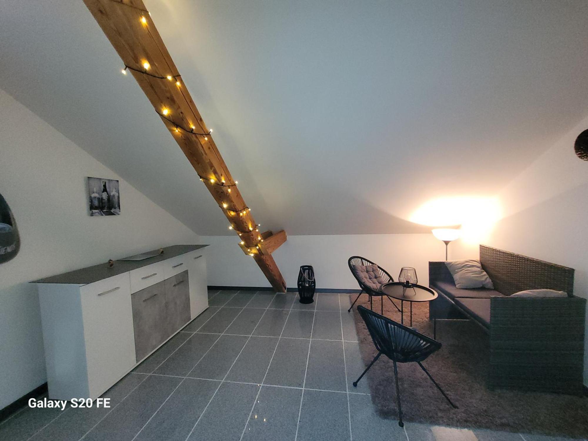 Penthouse N74 Linz 120 Qm Kids Welcome! Exteriér fotografie